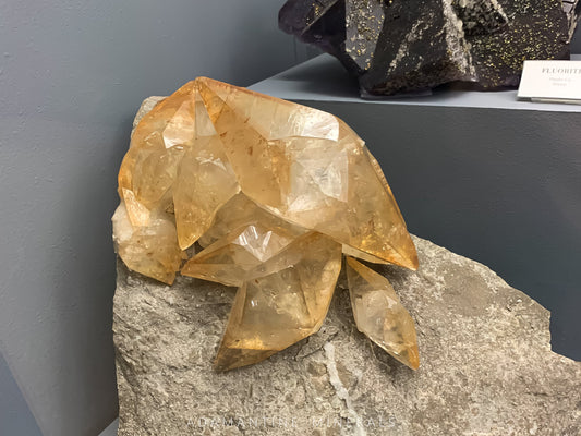 Cataloging Mineral Specimens