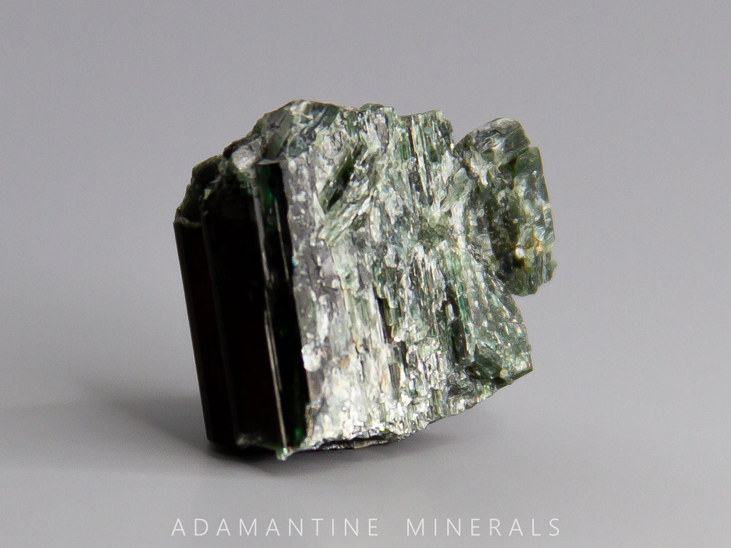 Actinolite