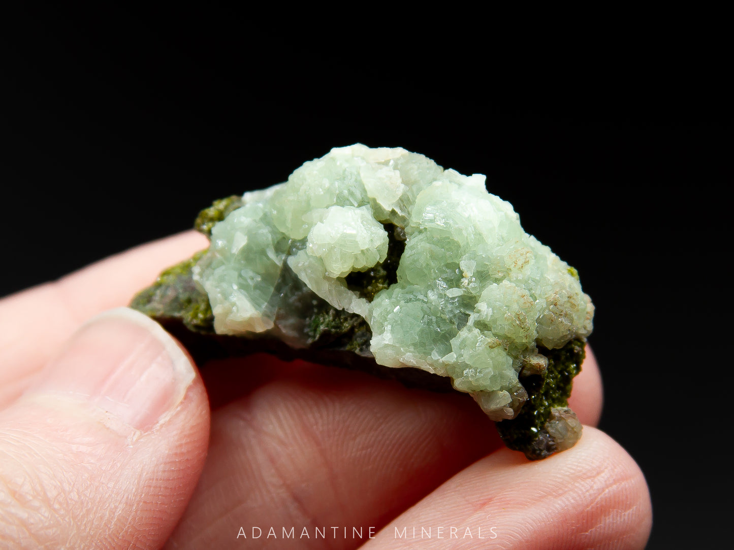Prehnite