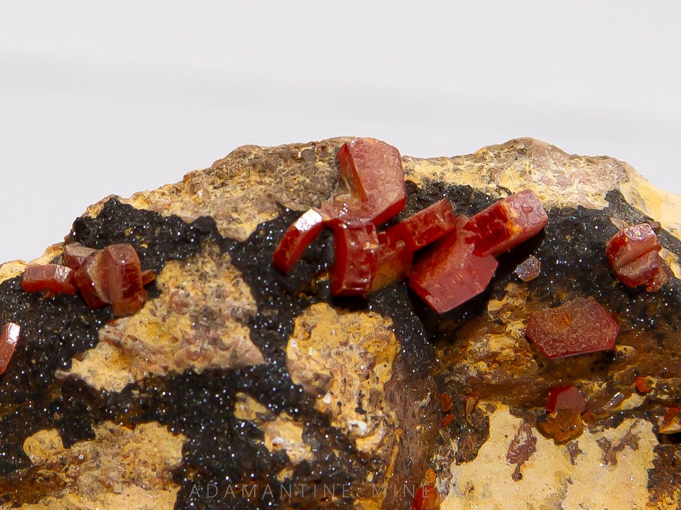 Vanadinite with Manganese Oxides
