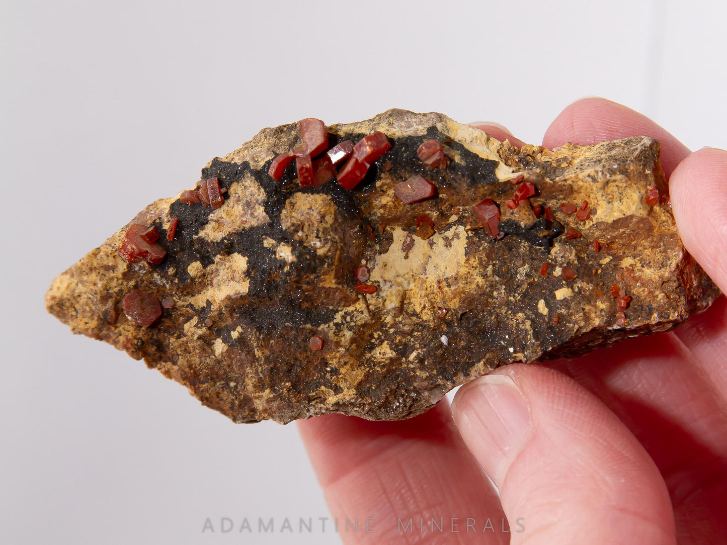 Vanadinite with Manganese Oxides