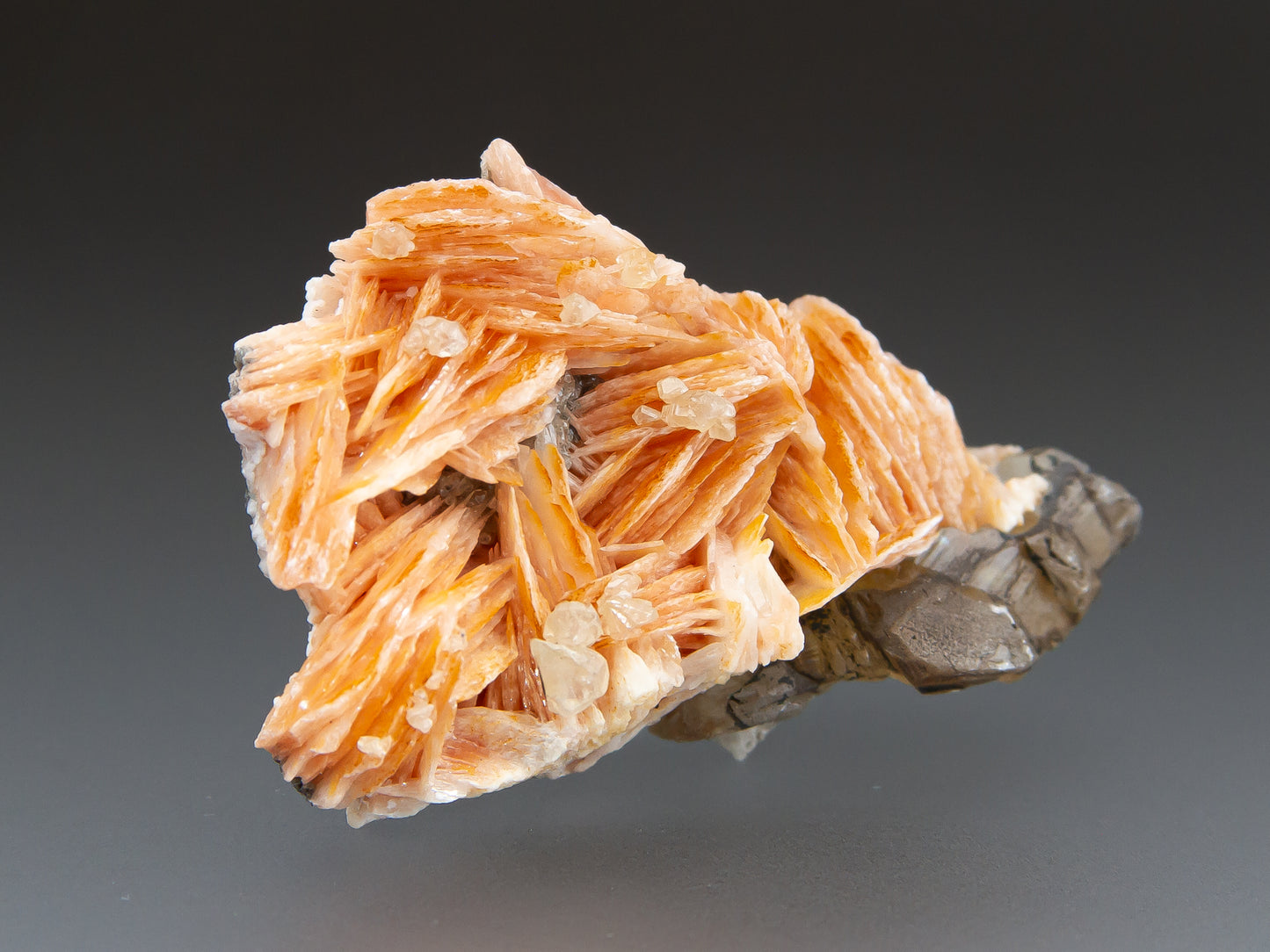 Barite with Cerussite