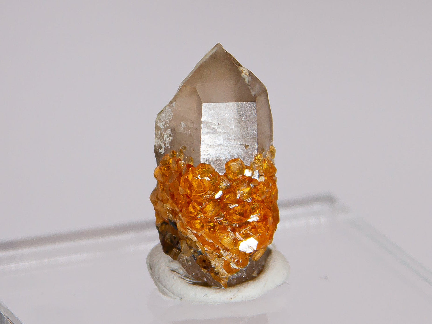 Thumbnail Specimens