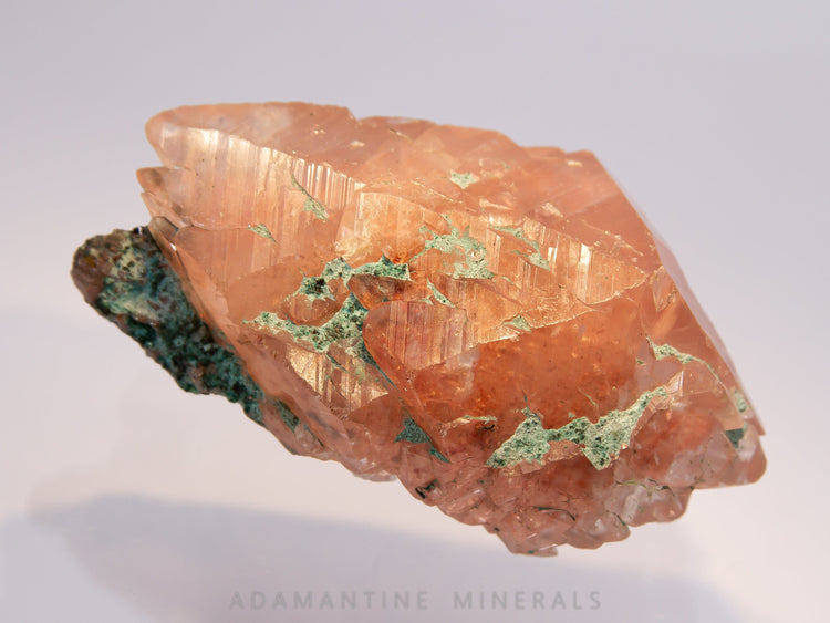 Combination Specimens