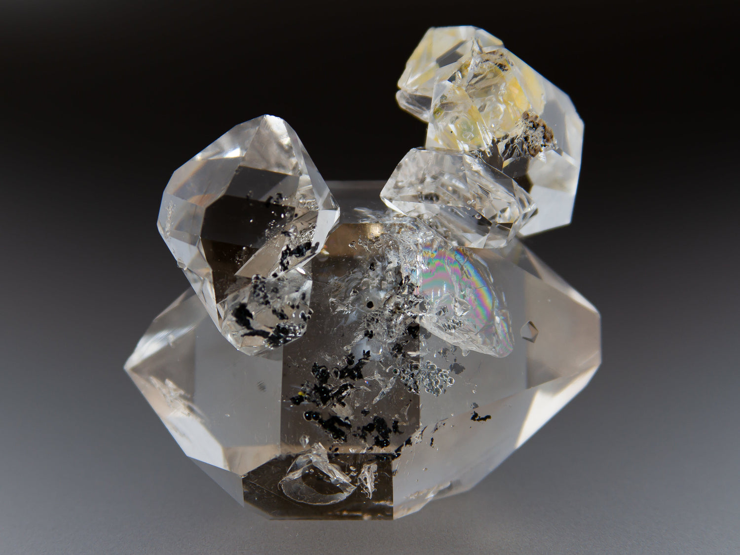 A large Herkimer Diamond quartz cluster with a larger double terminated crystal accented by several perched quartzes.