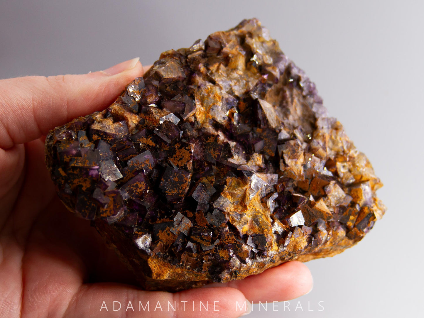 Fluorite and Quartz