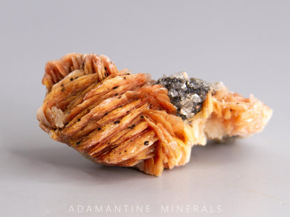 Barite with Cerussite and Galena