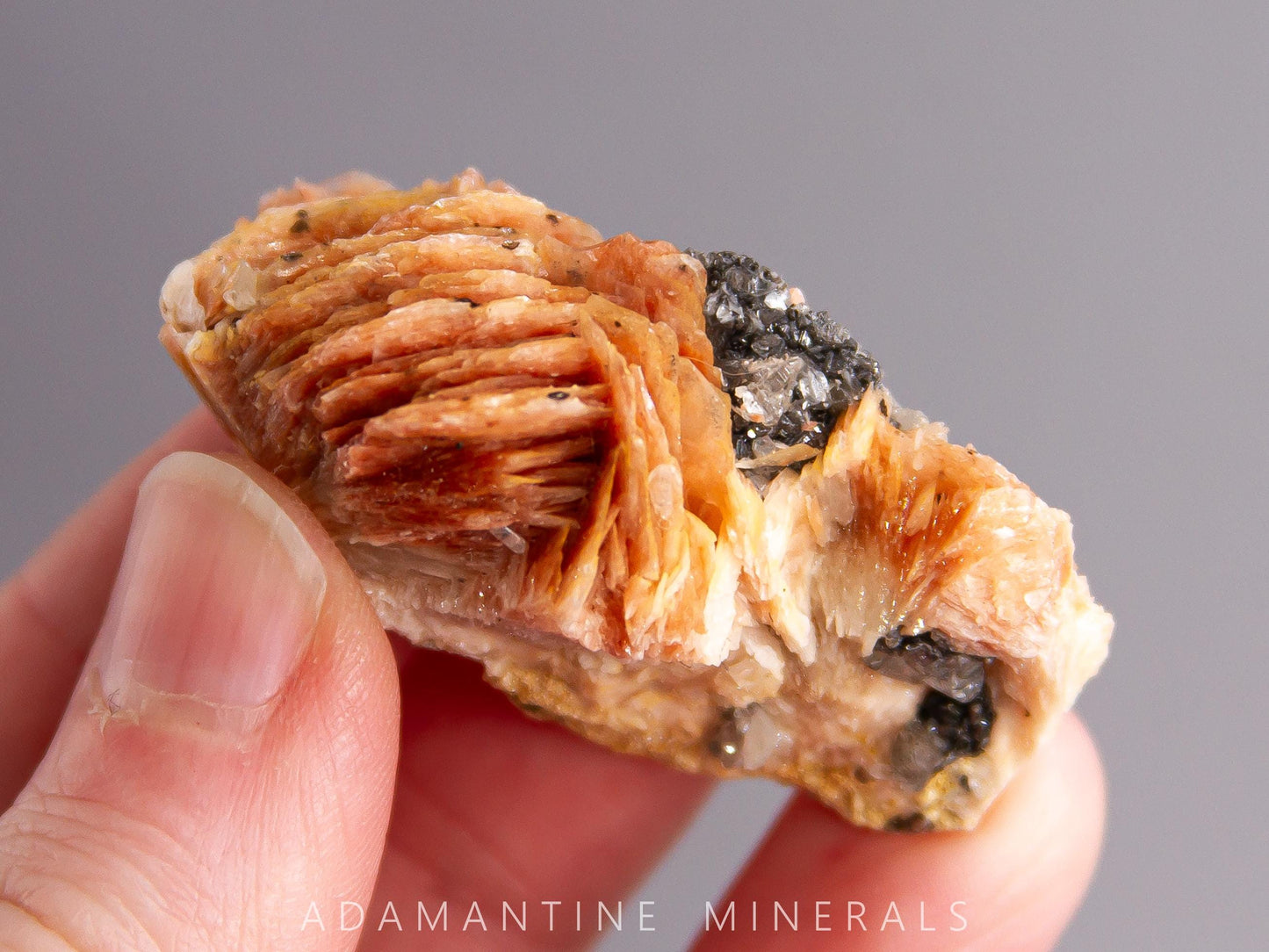 Barite with Cerussite and Galena
