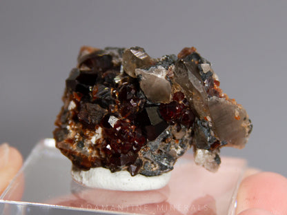 Spessartine Garnet with Smoky Quartz