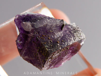 Fluorite and Chalcopyrite