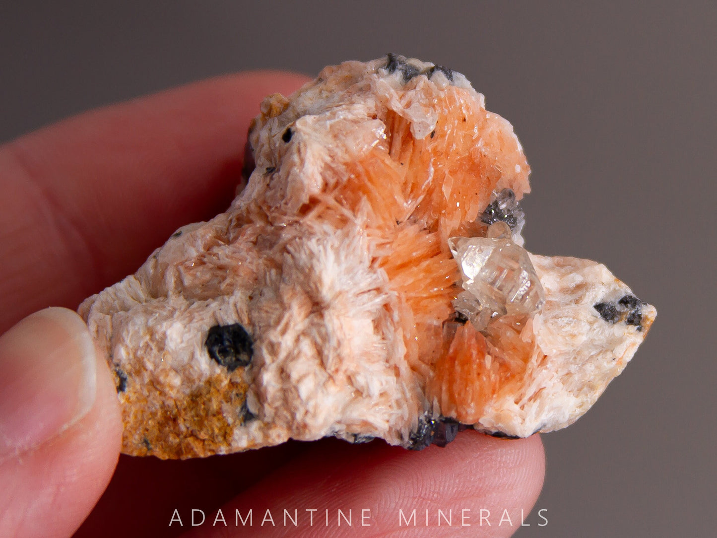 Barite and Cerussite