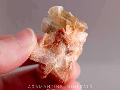 Cerussite and Barite