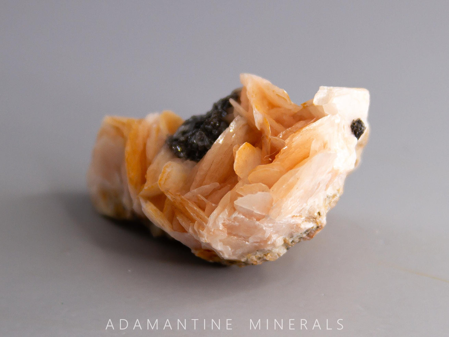 Barite and Galena