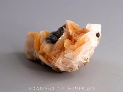 Barite and Galena