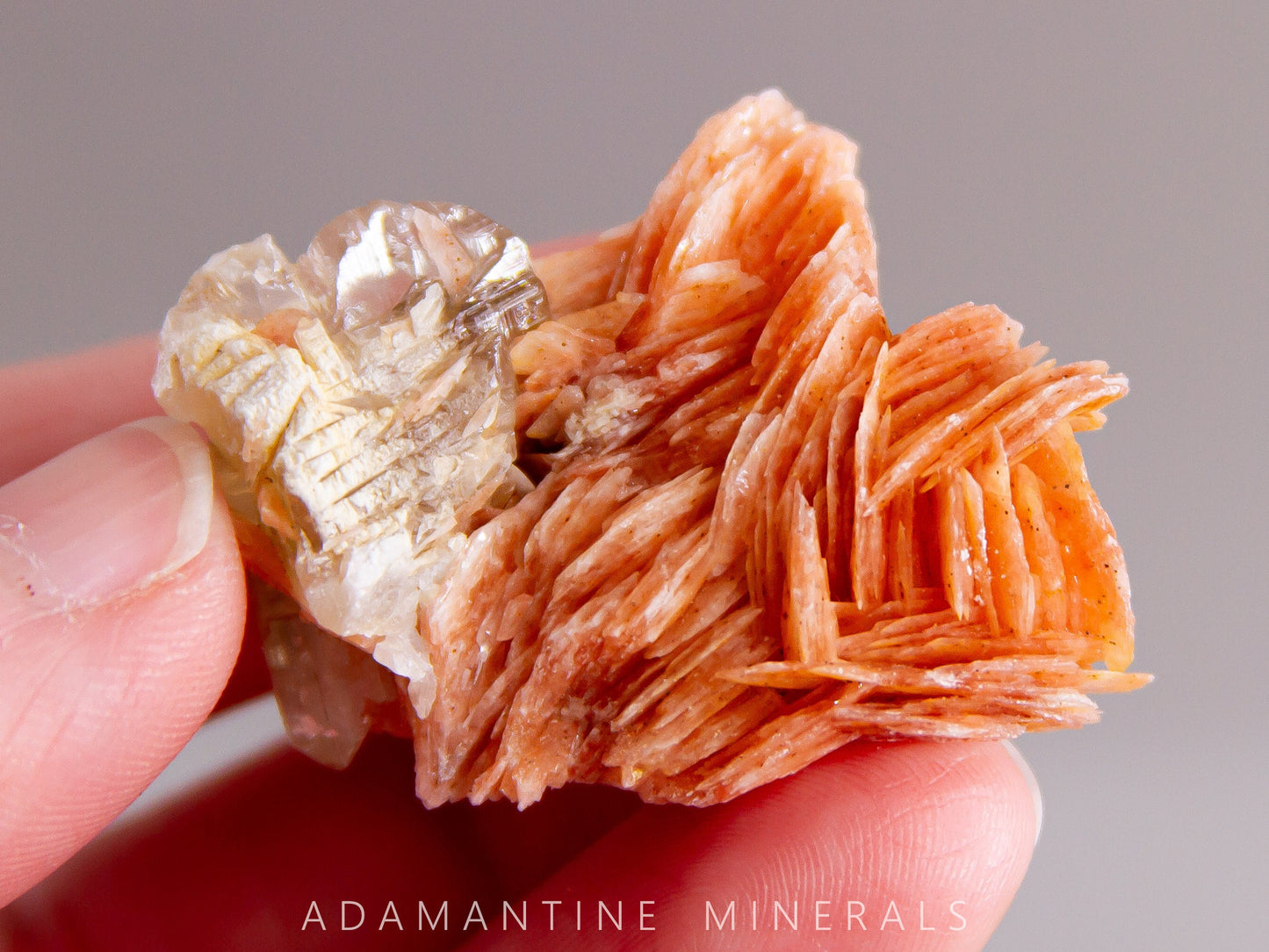 Cerussite and Barite