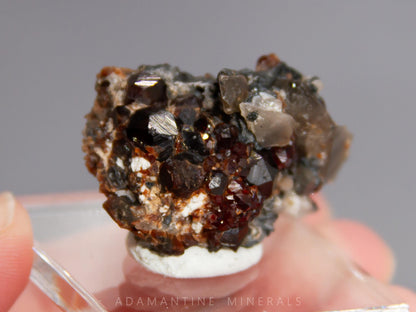 Spessartine Garnet with Smoky Quartz