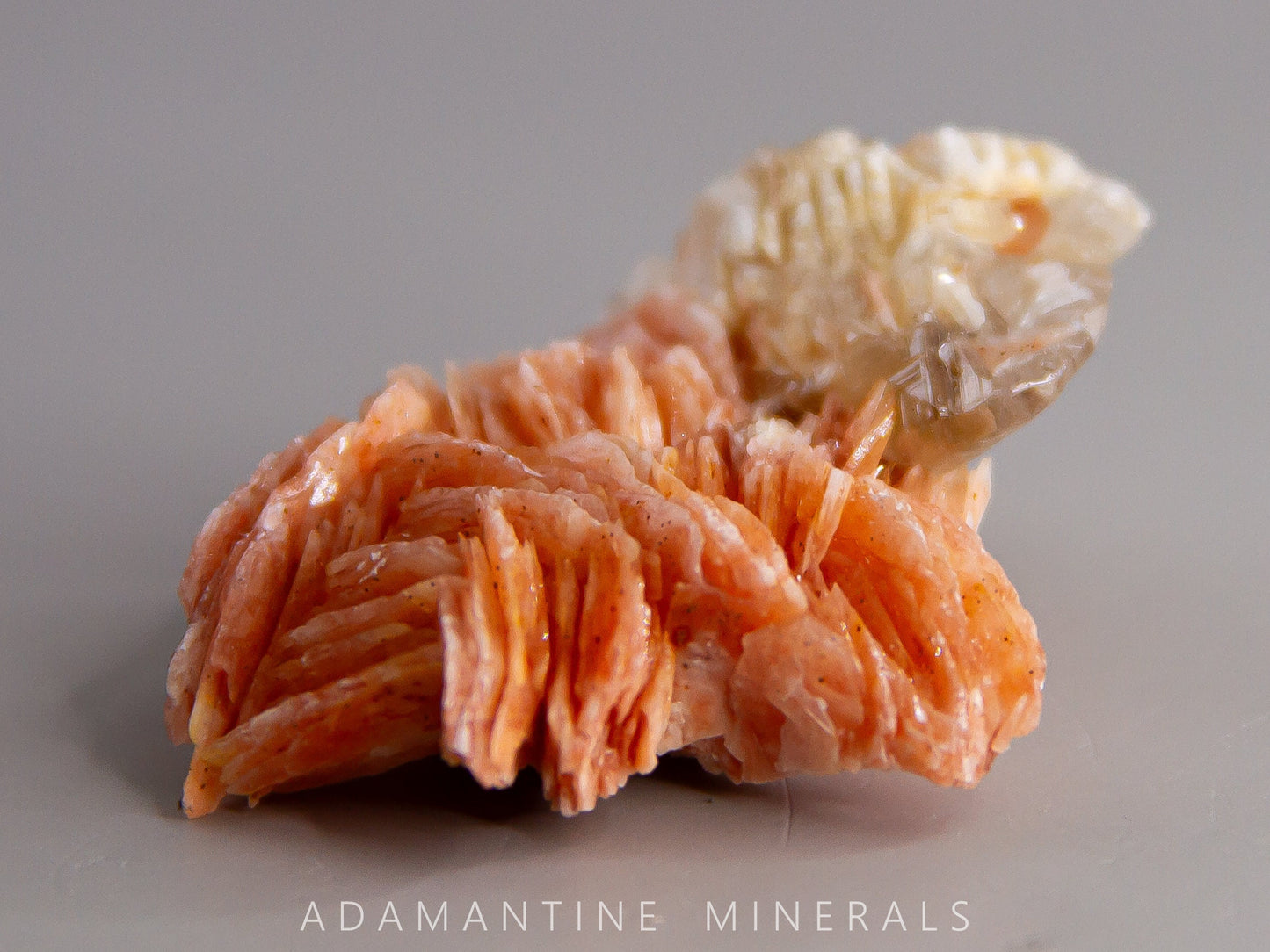 Cerussite and Barite