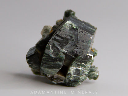 Actinolite