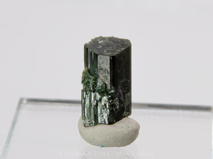 Actinolite