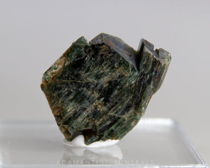Actinolite