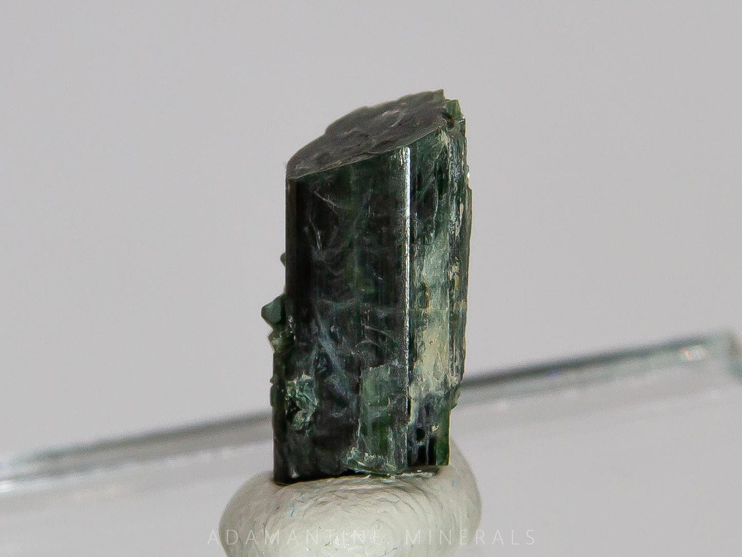 Actinolite