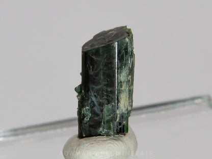 Actinolite