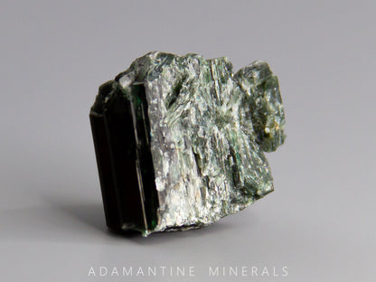 Actinolite