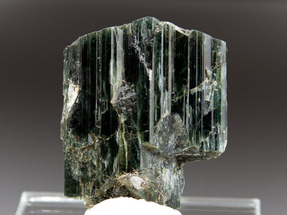 Actinolite