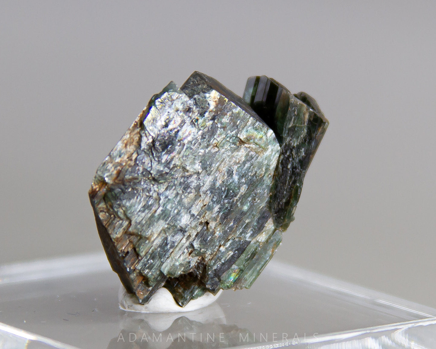 Actinolite