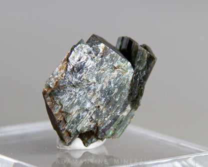 Actinolite