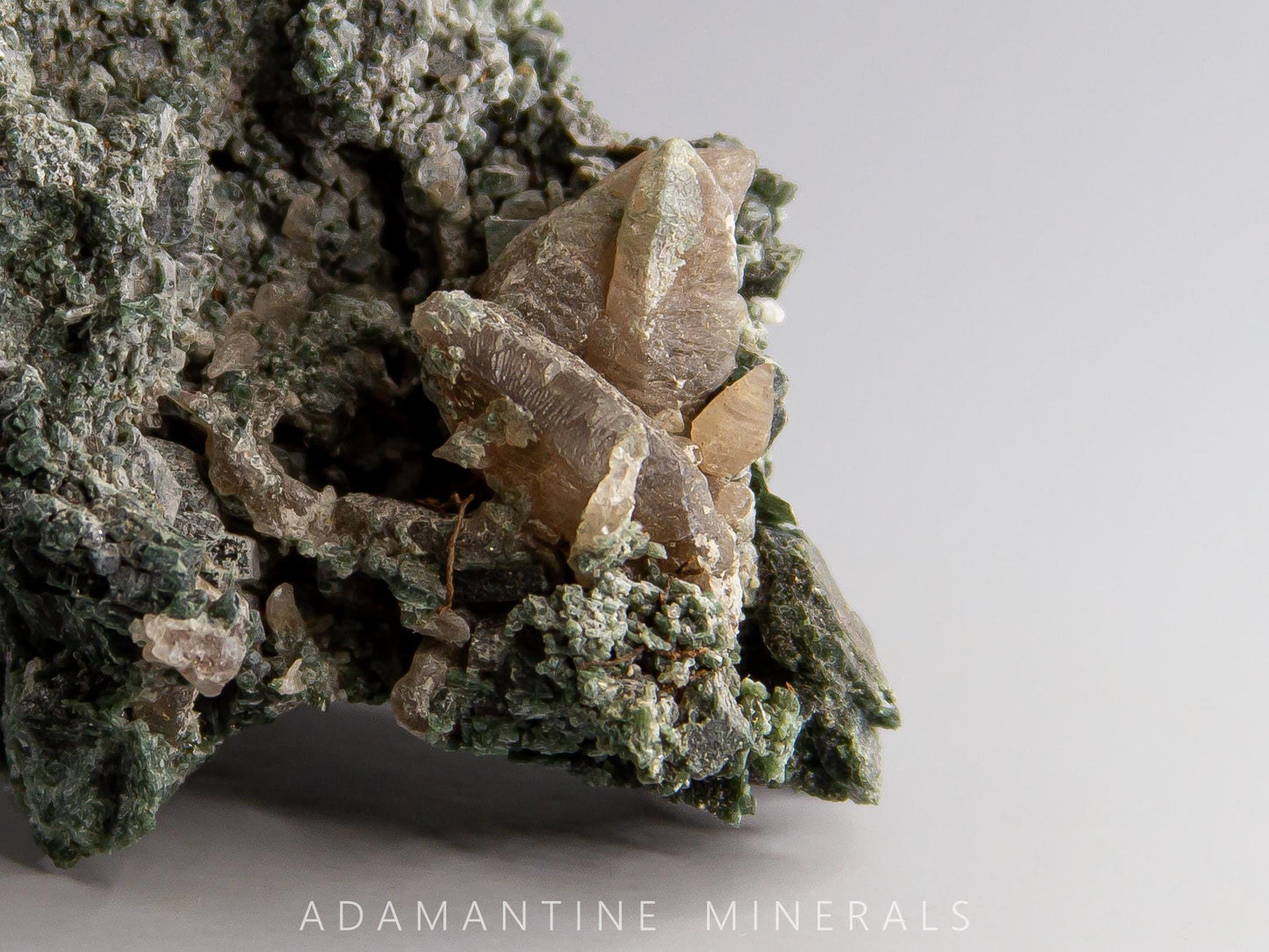 Actinolite with Quartz