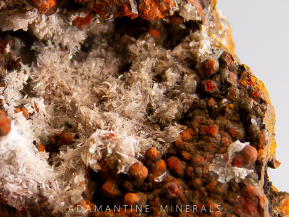 Adamite and Austinite on Goethite