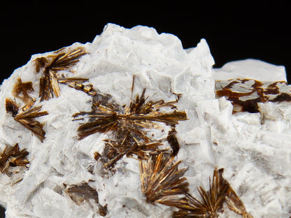 Astrophyllite