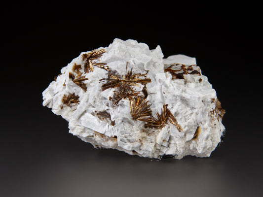 Astrophyllite