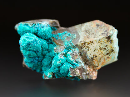 Chrysocolla & Quartz