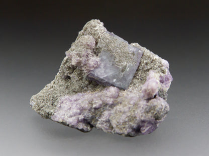 Fluorite, Quartz, and Chlorite