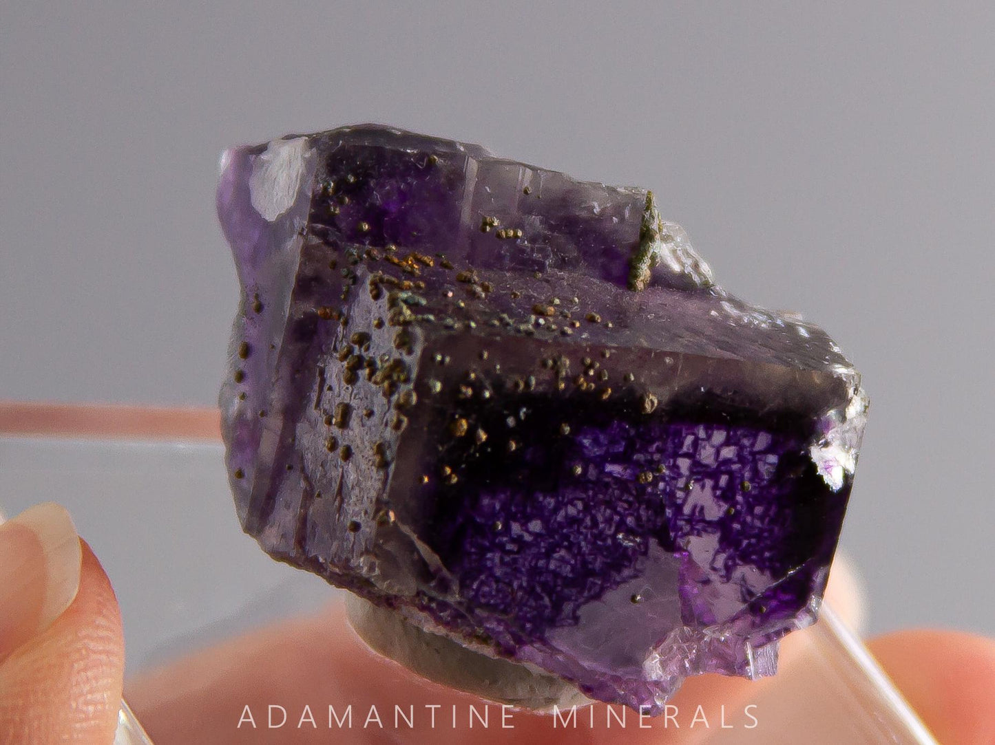 Fluorite and Chalcopyrite