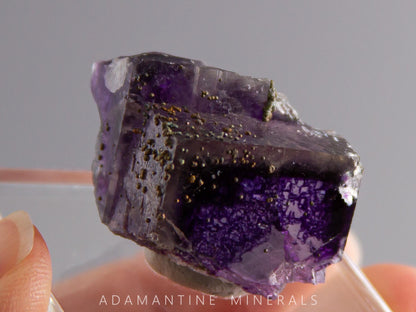 Fluorite and Chalcopyrite