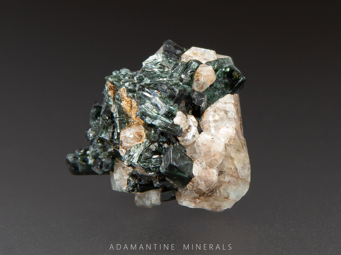 Microcline & Actinolite