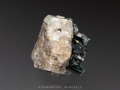 Microcline & Actinolite