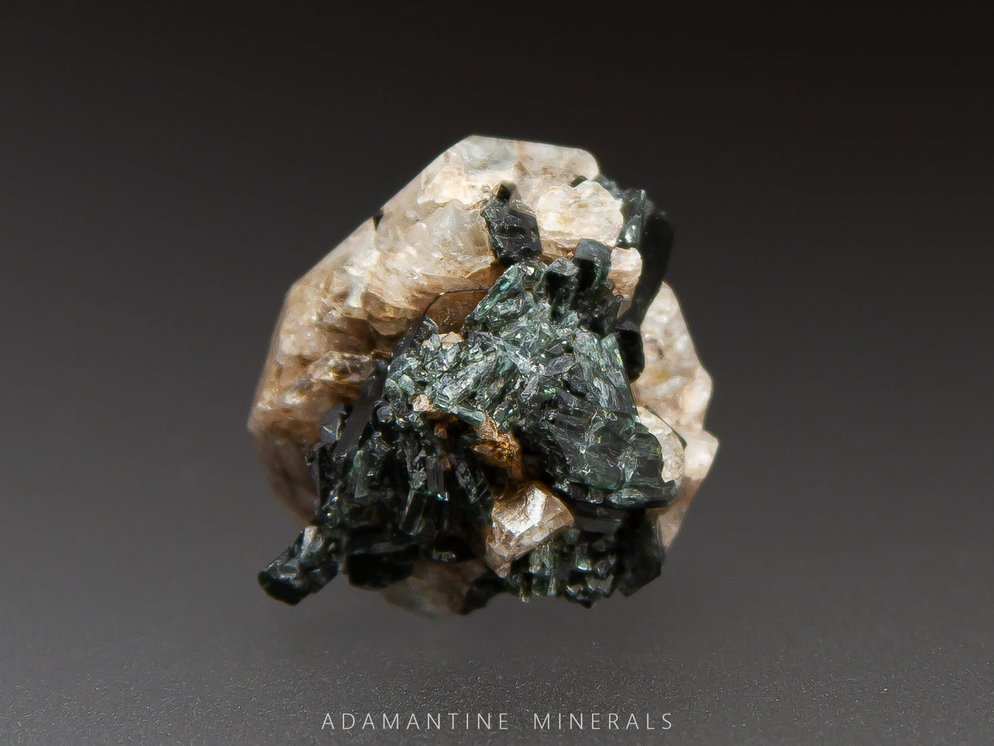 Microcline & Actinolite