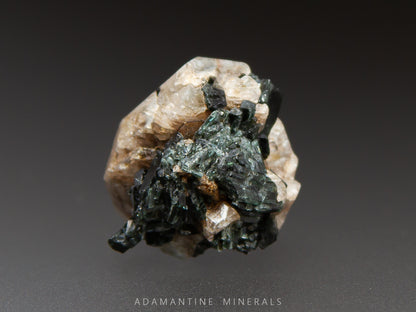 Microcline & Actinolite