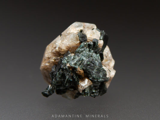 Microcline & Actinolite