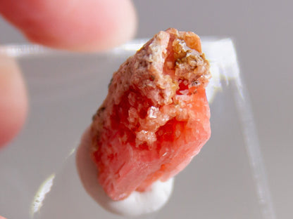 Serandite with Albite