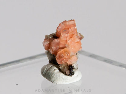Serandite with Leifite