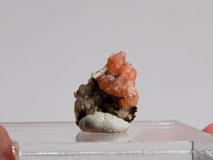 Serandite with Leifite
