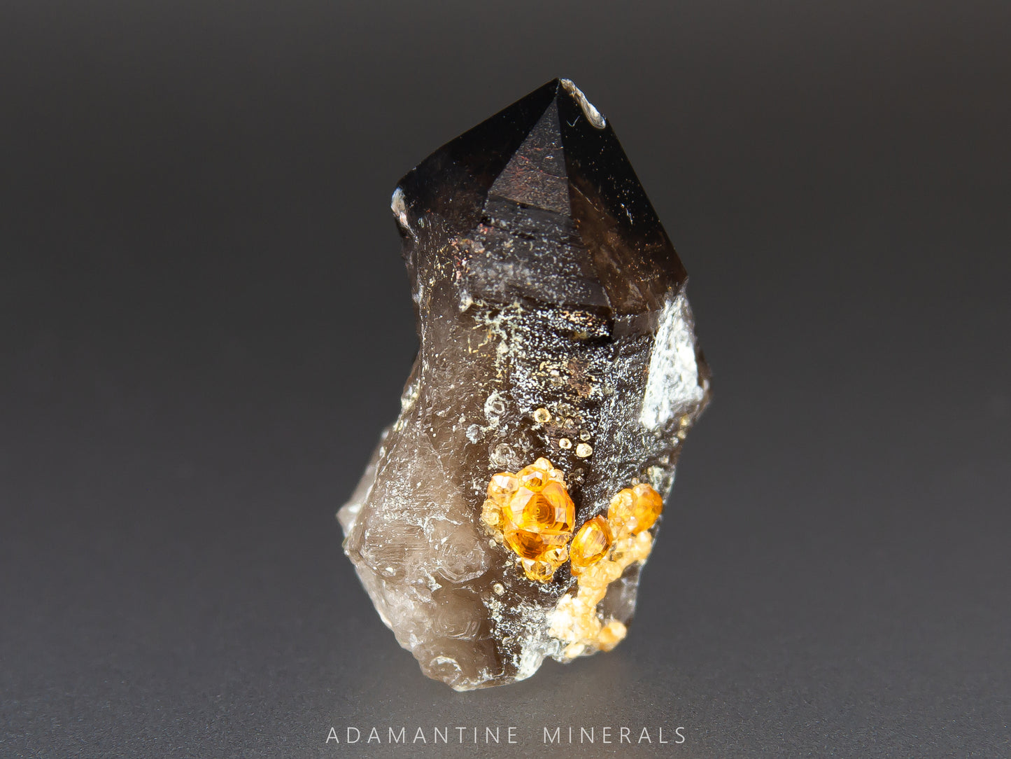 Smoky Quartz & Spessartine Garnet
