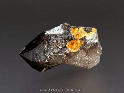 Smoky Quartz & Spessartine Garnet