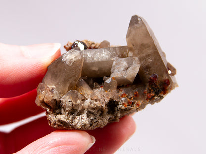 Smoky Quartz & Spessartine Garnet