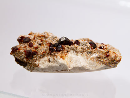 Spessartine Garnet on Microcline